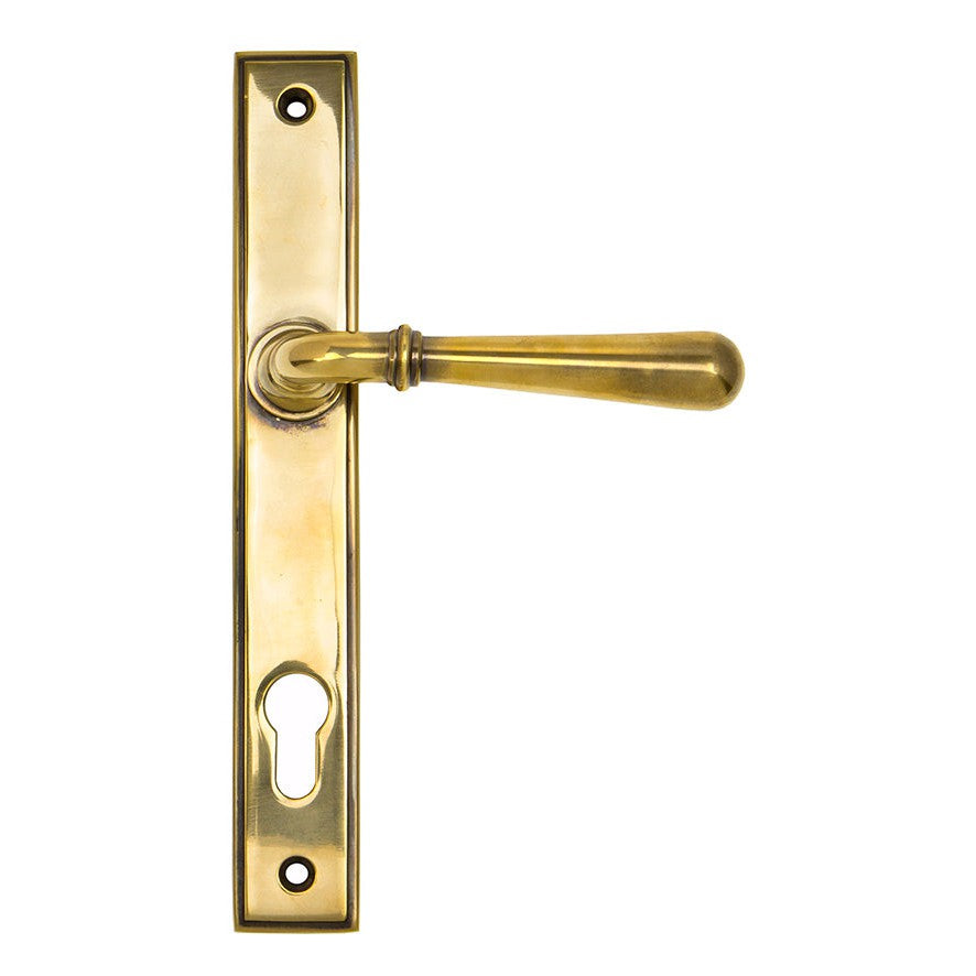 Aged Brass Newbury Slimline Lever Espag. Lock Set
