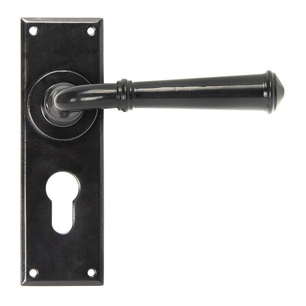 Black Regency Lever Euro Lock Set