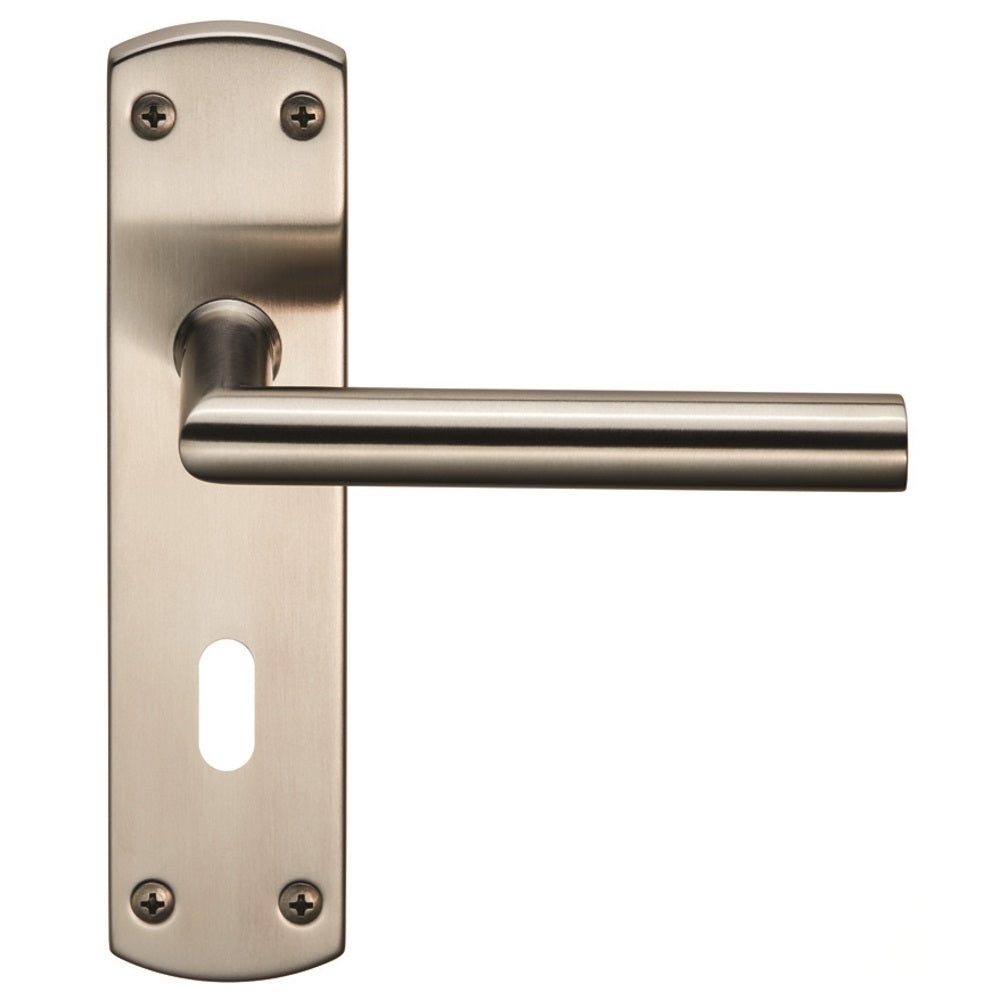 Steelworx Residential Mitred Lever on Lock Backplate