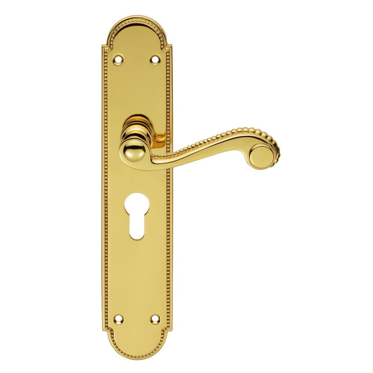 Chesham Lever on Euro Lock Long Backplate