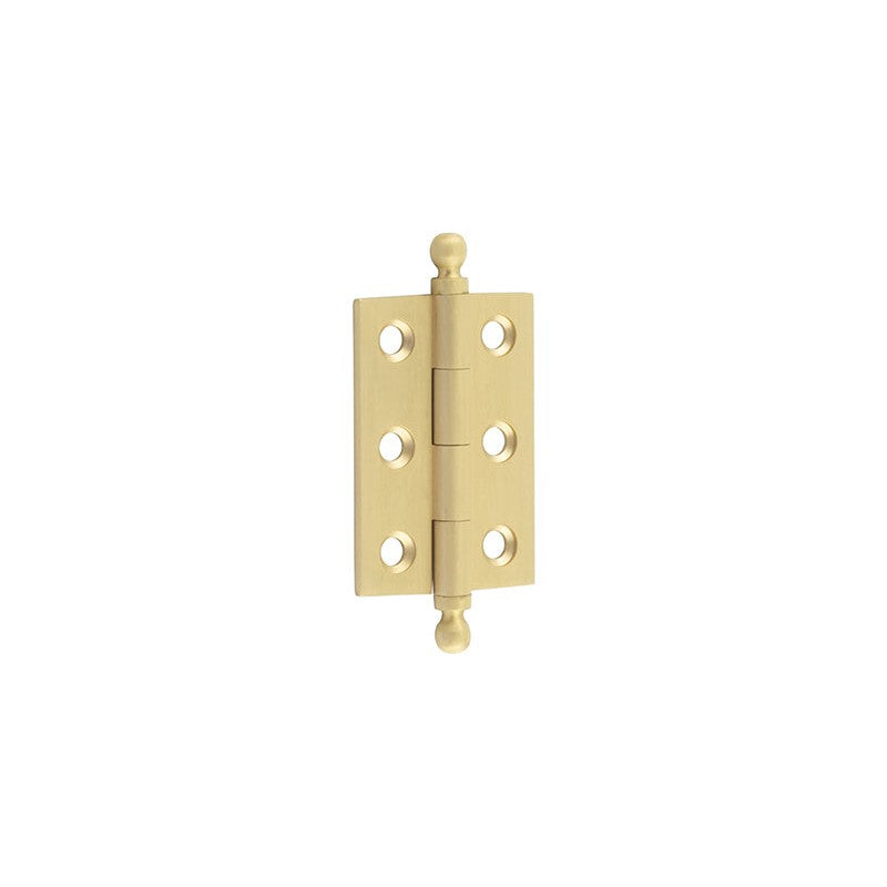 Hoxton Brass Finial Hinges