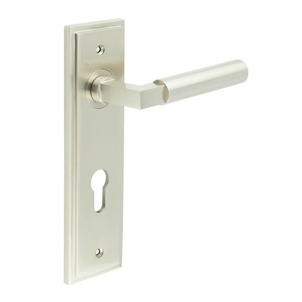 Westminster Door Handle Din Euro Backplate