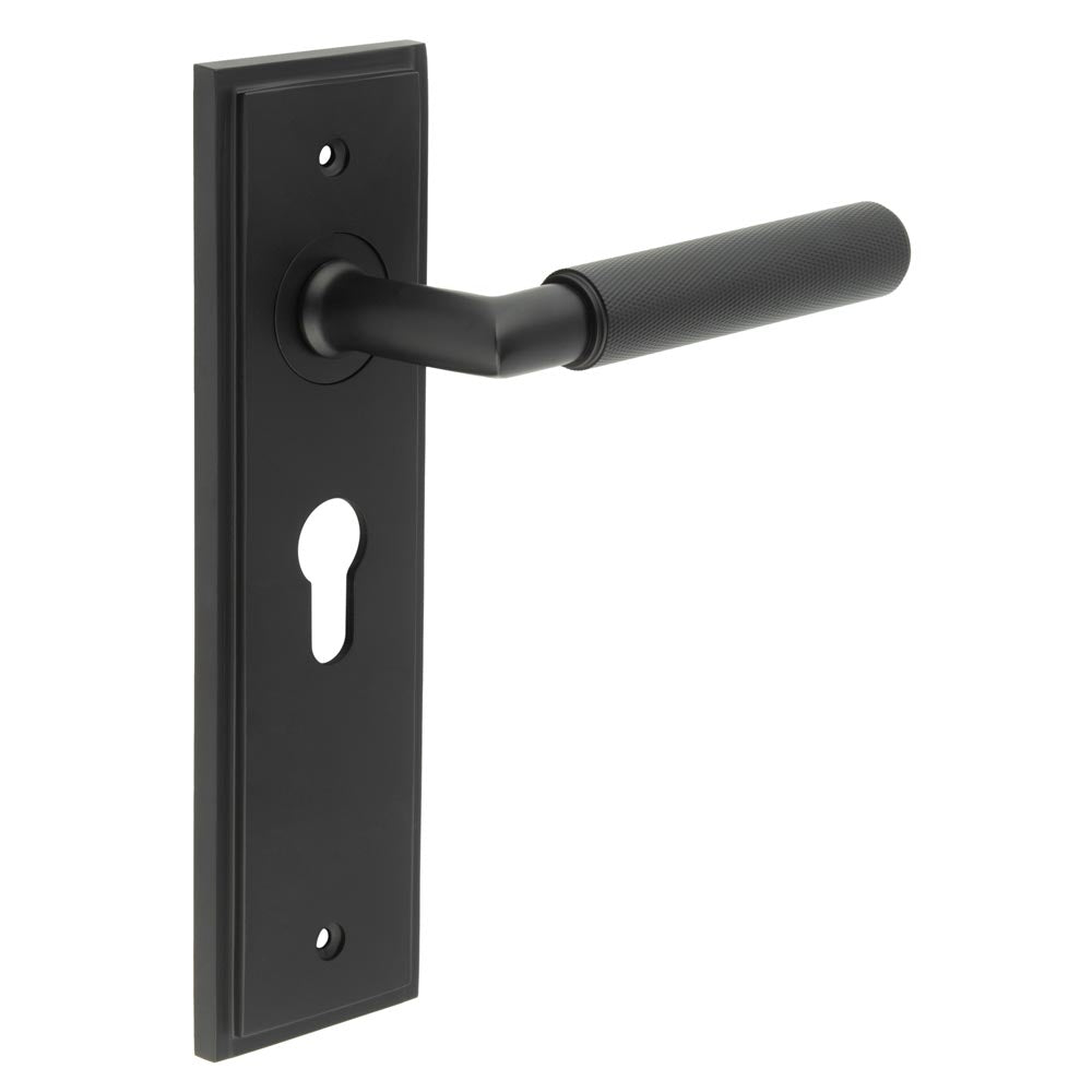 Piccadilly Door Handle Euro Backplate Matt