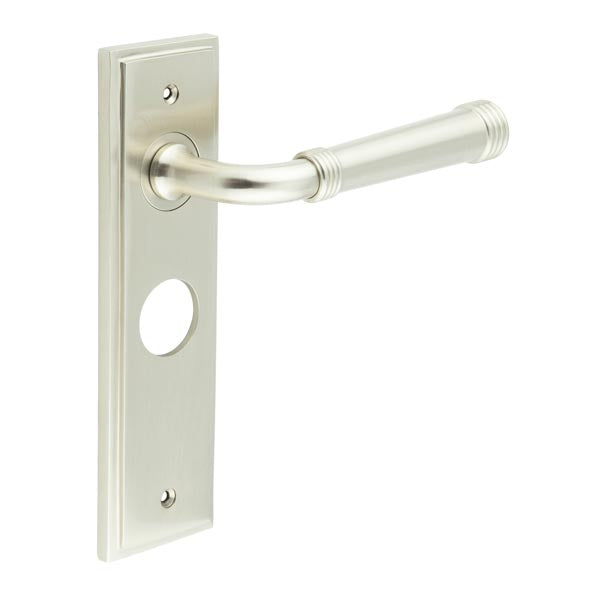 Highgate Door Handle Bathroom Backplate