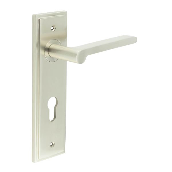 Fitzrovia Door Handle Din Euro Backplate