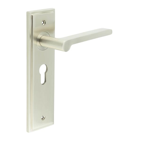 Fitzrovia Door Handle Euro Backplate
