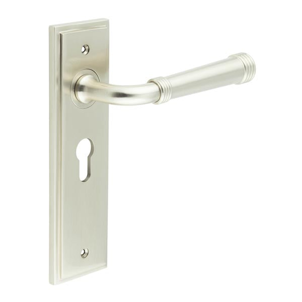 Highgate Door Handle Euro Backplate
