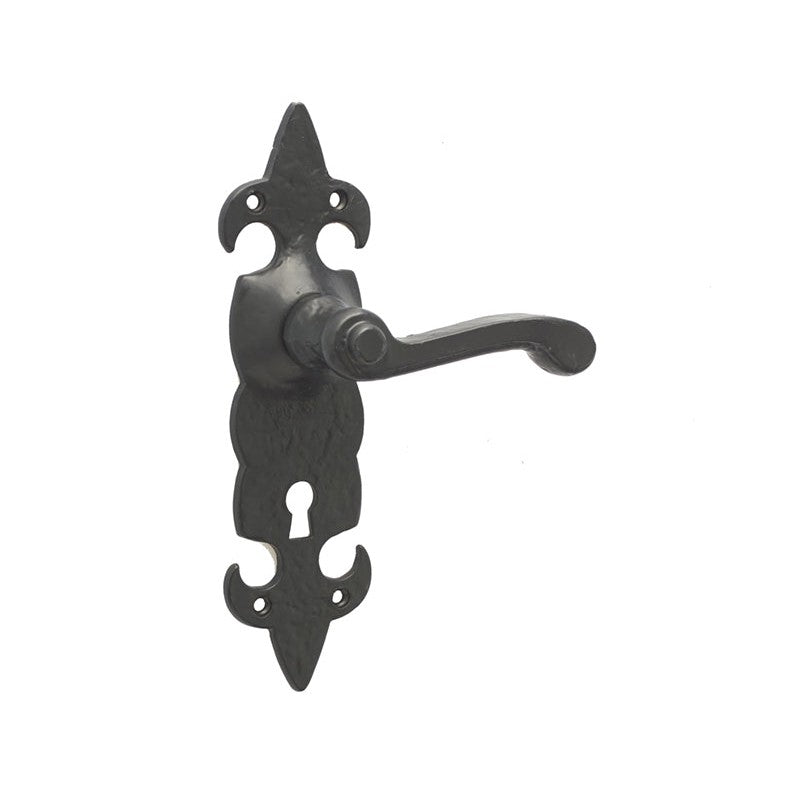 Fleur De Lys Suite Door Handle on lockplate