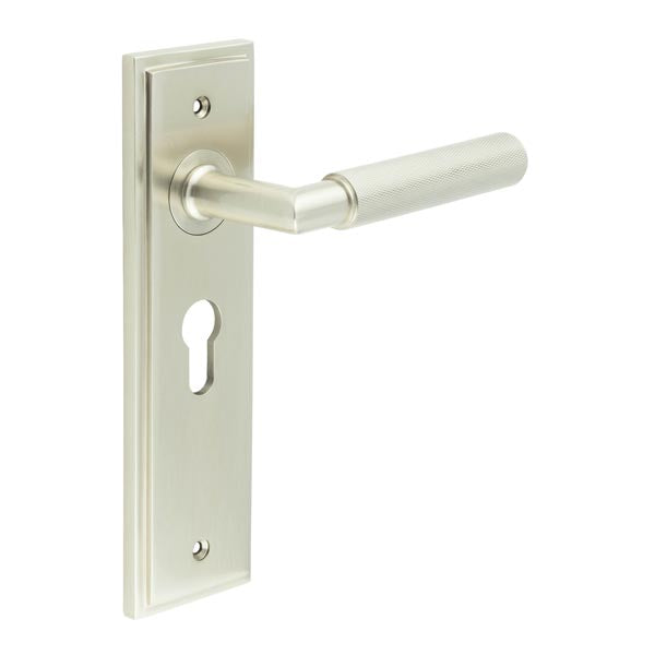 Piccadilly Door Handle Euro Backplate