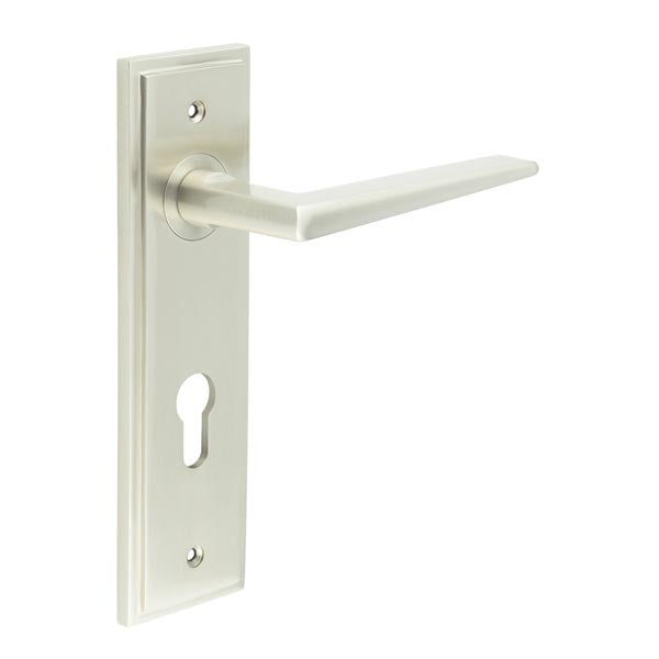 Mayfair Door Handle Din Euro Backplate