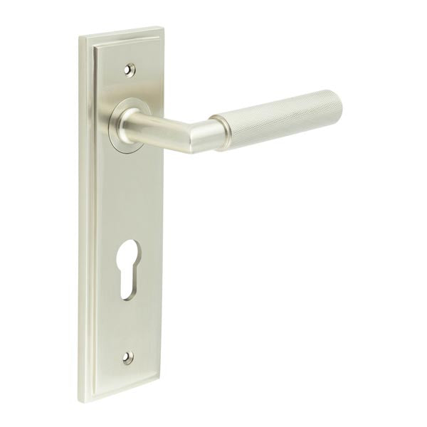 Piccadilly Door Handle Din Euro Backplate