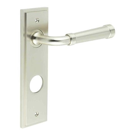 Highgate Door Handle Din Bathroom Backplate