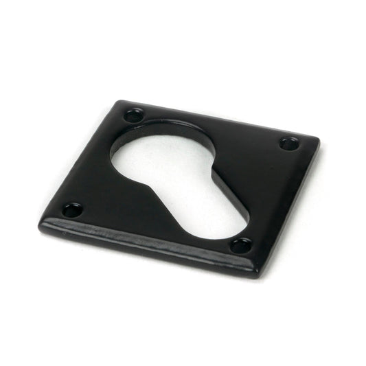 Diamond Euro Escutcheon