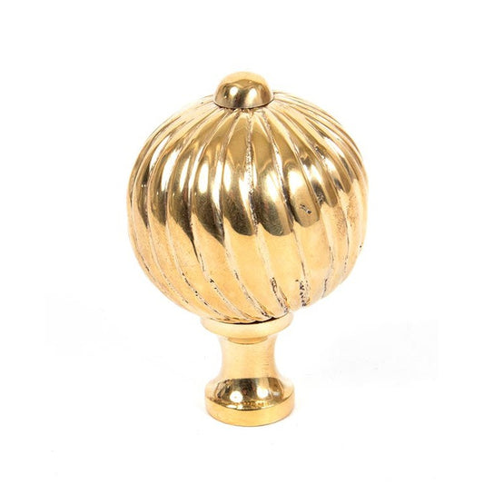 Polished Brass Spiral Cabinet Knob - Large