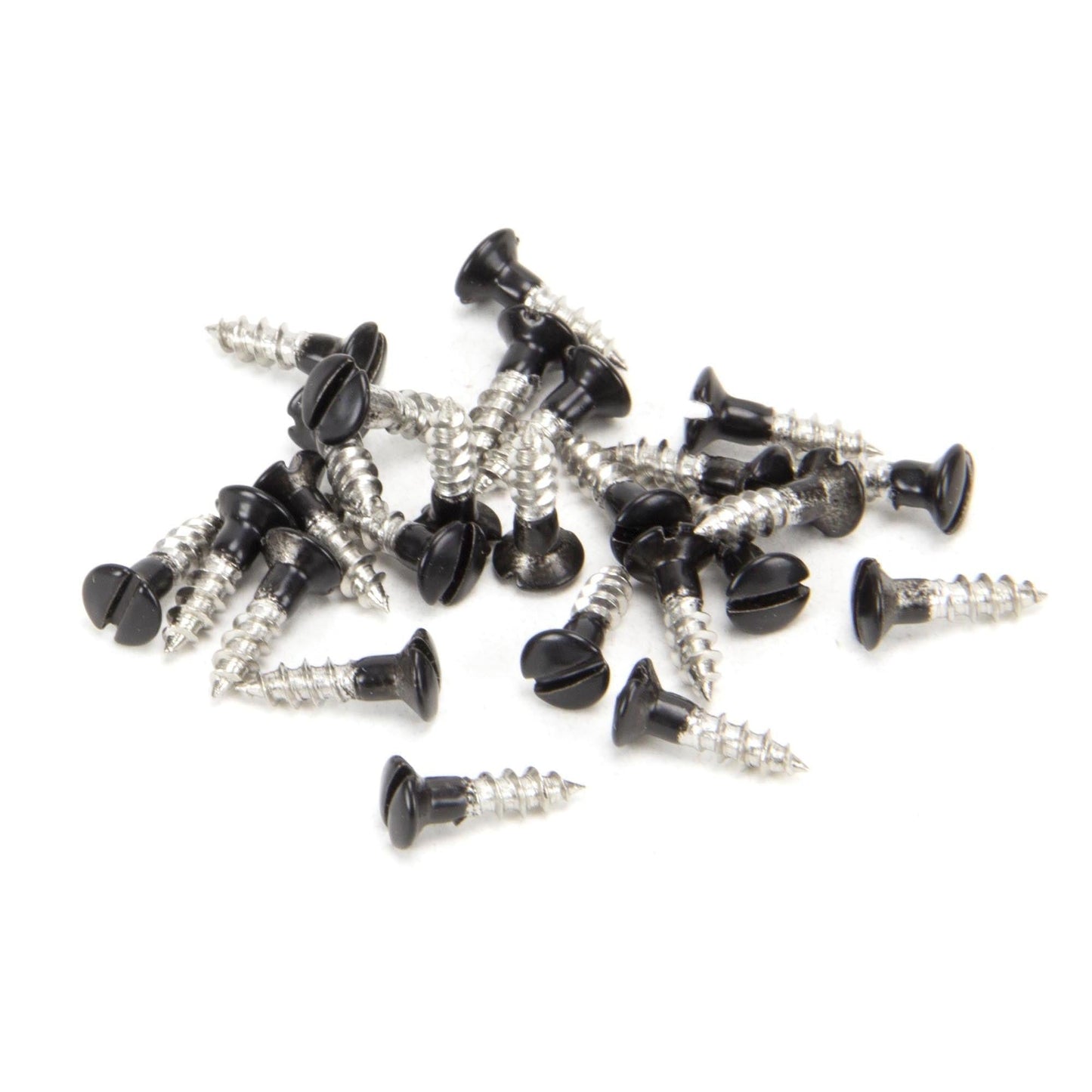 Black SS Countersunk Raised Head Screws (25)