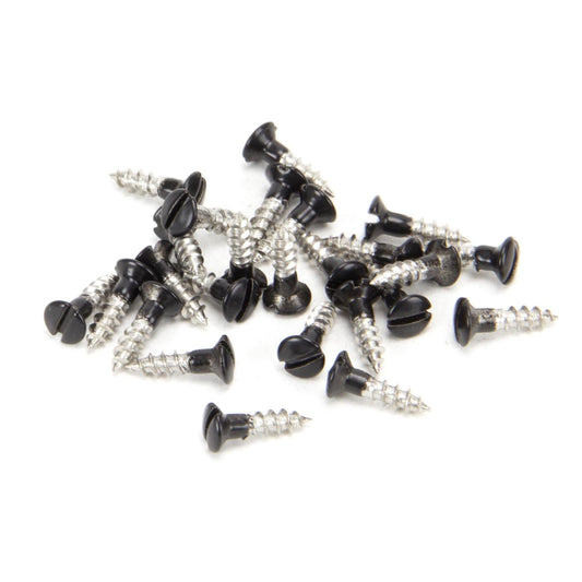 Black SS Countersunk Raised Head Screws (25)