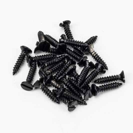 Countersunk Raised Head Screws (25)