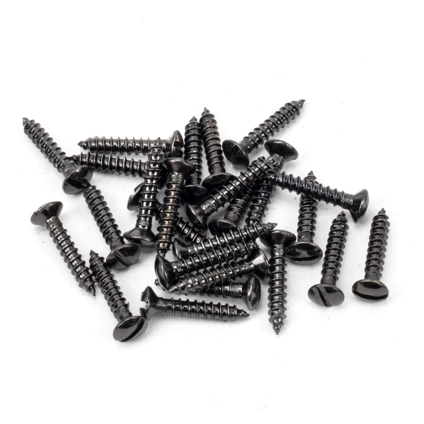 Countersunk Raised Head Screws (25)
