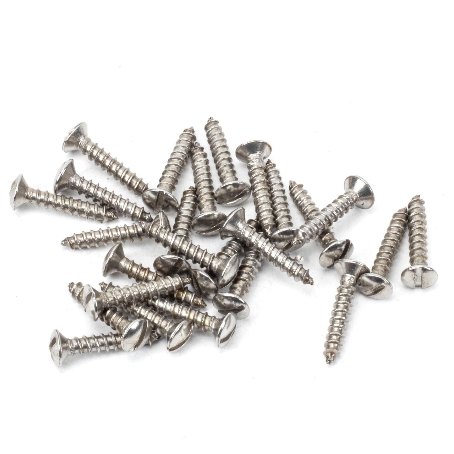Countersunk Raised Head Screws (25)