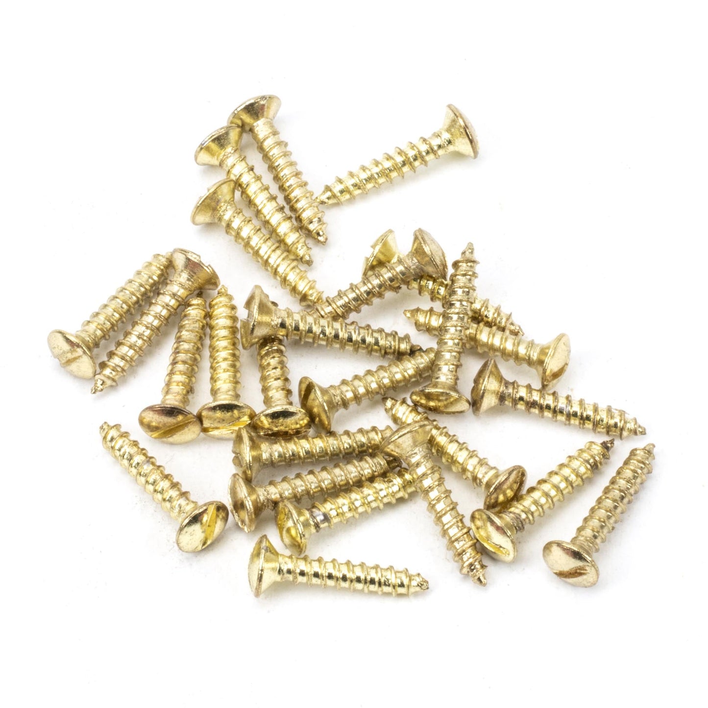 Countersunk Raised Head Screws (25)