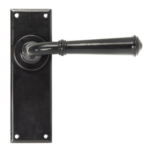 Regency Lever Latch Set