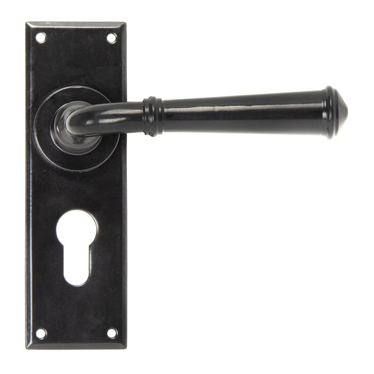 Regency Lever Euro Lock Set