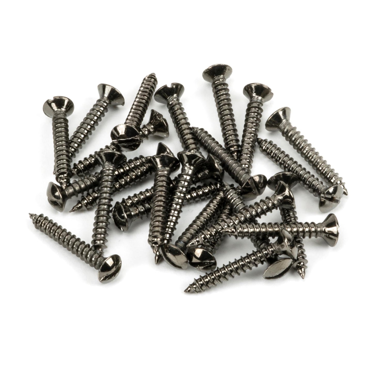 Countersunk Raised Head Screws (25)