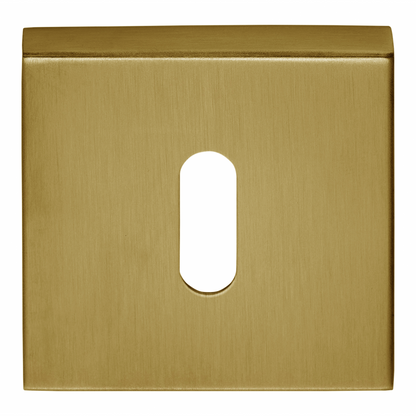 BSQN53 - Key Escutcheons