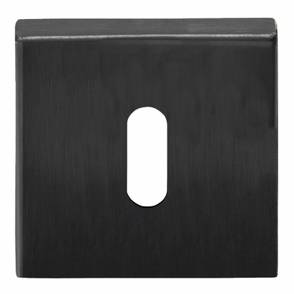 BSQN53 - Key Escutcheons