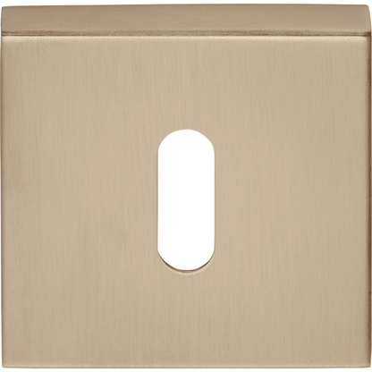 BSQN53 - Key Escutcheons