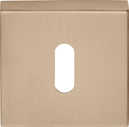 BSQN53 - Key Escutcheons