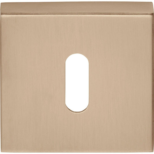 BSQN53 - Key Escutcheons