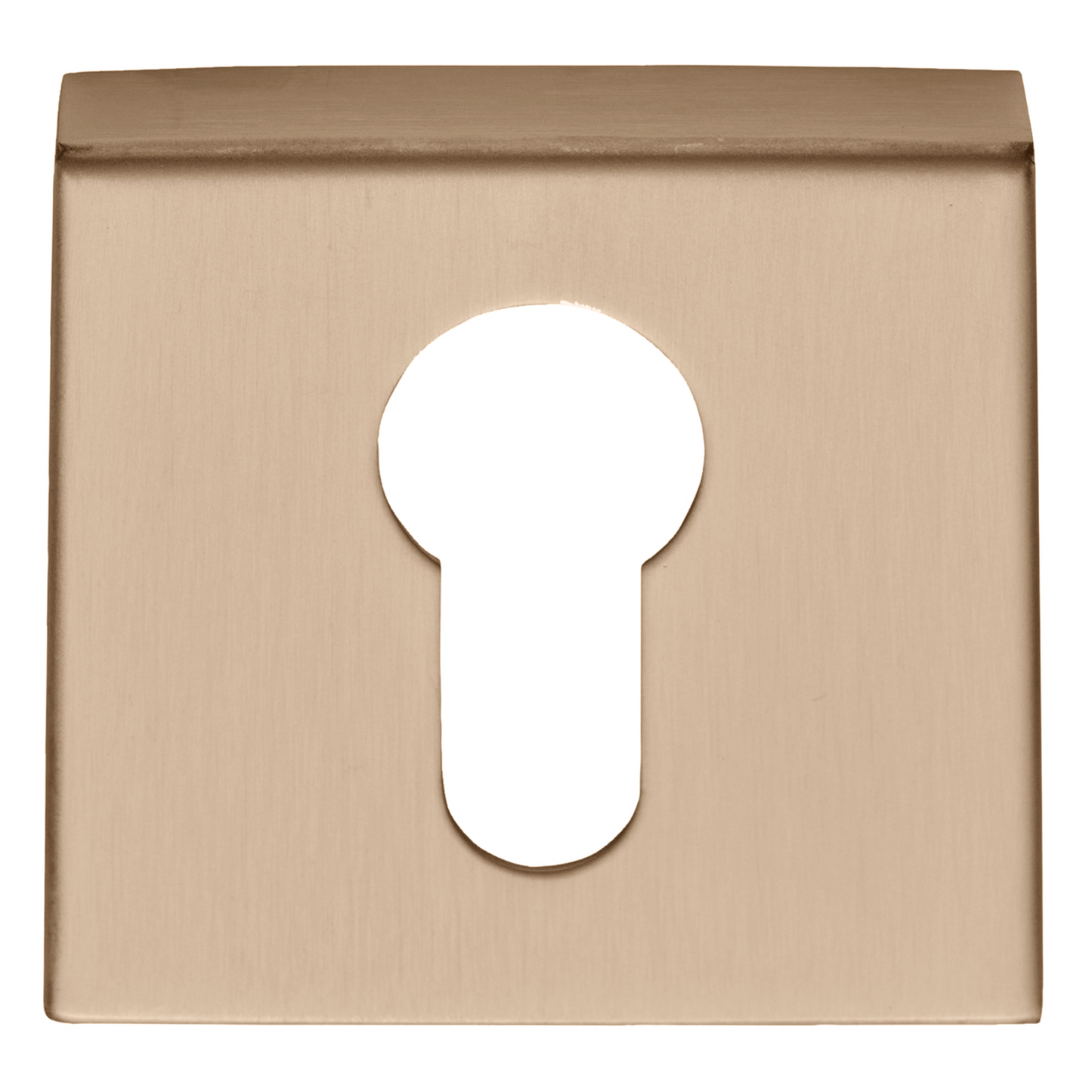 BSQY53 - Pz Cylinder Escutcheons