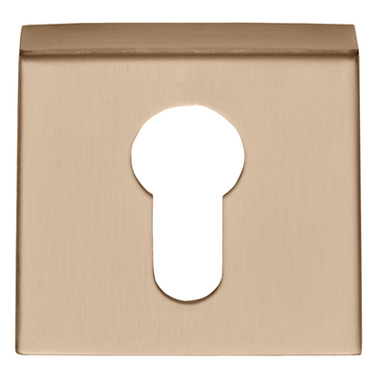 BSQY53 - Pz Cylinder Escutcheons