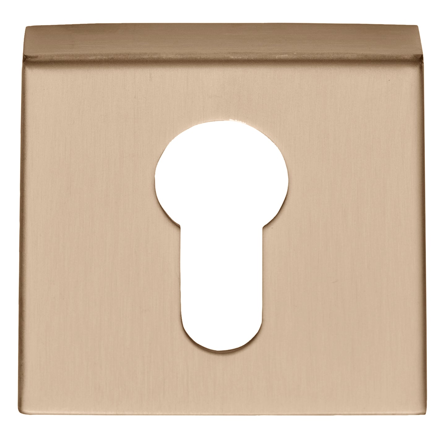 BSQY53 - Pz Cylinder Escutcheons