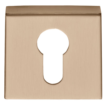 BSQY53 - Pz Cylinder Escutcheons