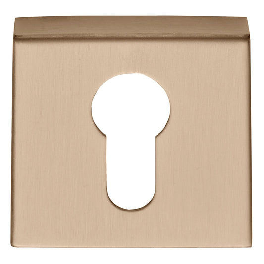 BSQY53 - Pz Cylinder Escutcheons