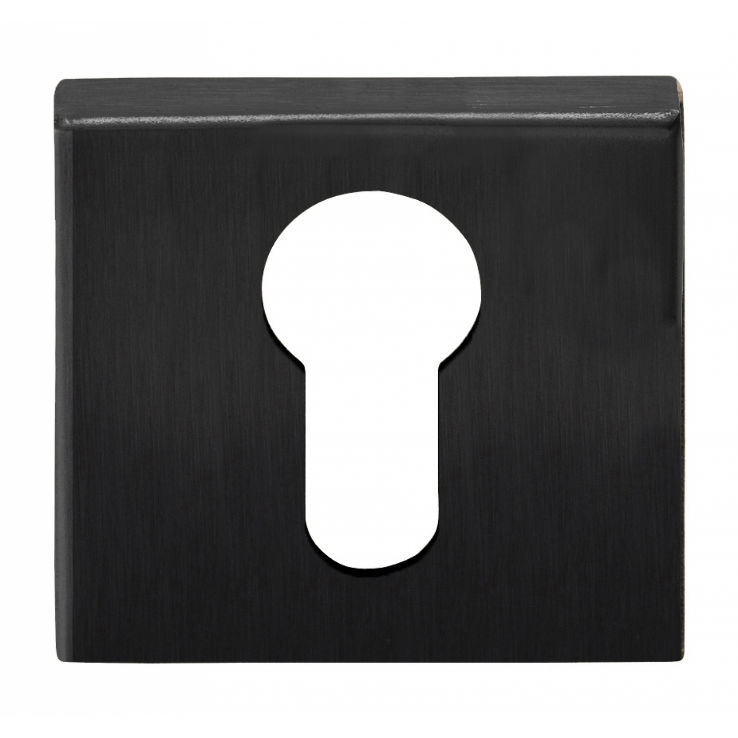 BSQY53 - Pz Cylinder Escutcheons