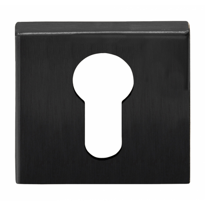 BSQY53 - Pz Cylinder Escutcheons