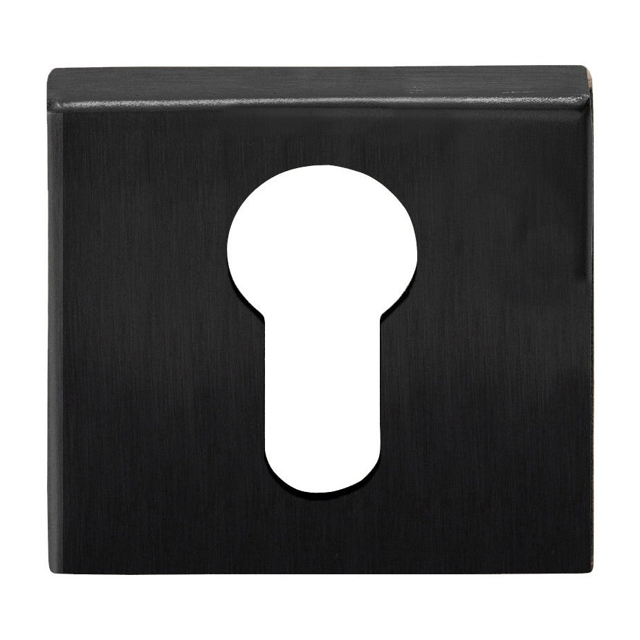 BSQY53 - Profile Cylinder Escutcheon Square