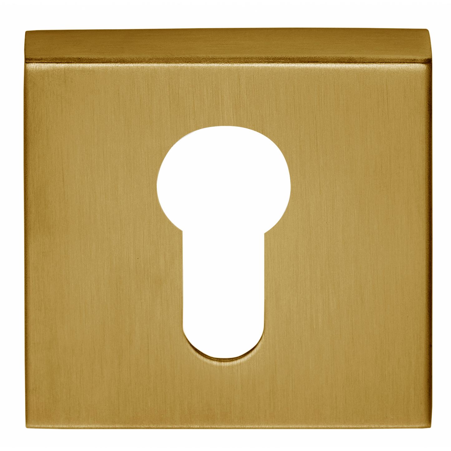 BSQY53 - Pz Cylinder Escutcheons