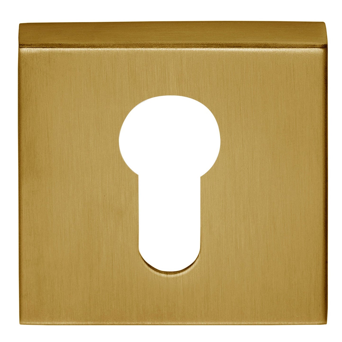 BSQY53 - Profile Cylinder Escutcheon Square