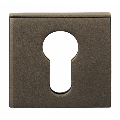 BSQY53 - Pz Cylinder Escutcheons