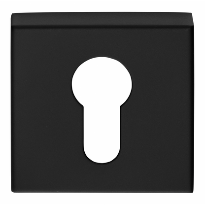 BSQY53 - Pz Cylinder Escutcheons