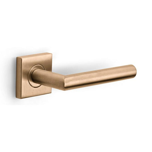 LB2-19BSQ - Door Handles On Rose