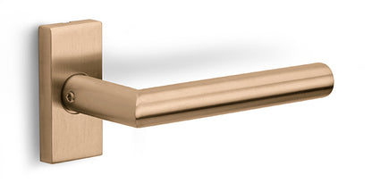 LB2-19Q32G - Door Handles On Rose