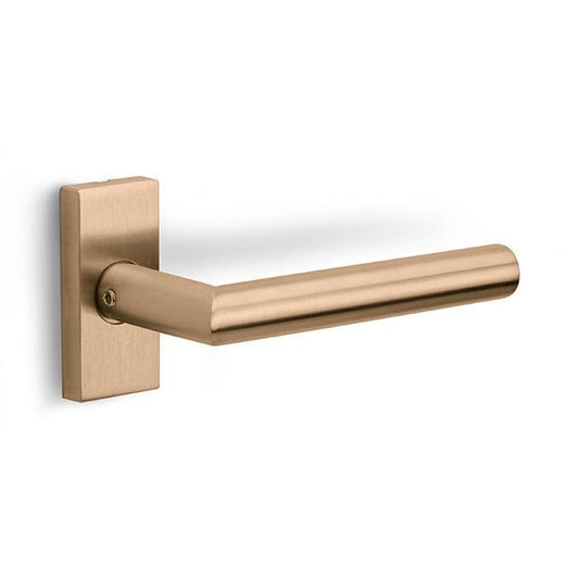 LB2-19Q32G - Door Handles On Rose