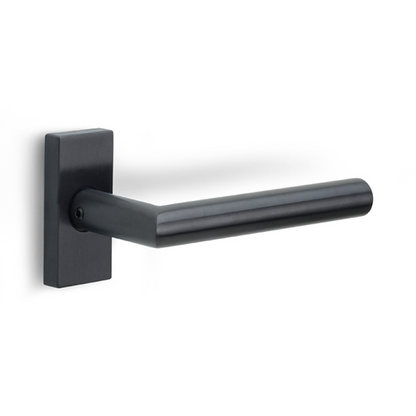 LB2-19Q32G - Door Handles On Rose