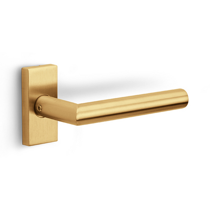 LB2-19Q32G - Door Handles On Rose