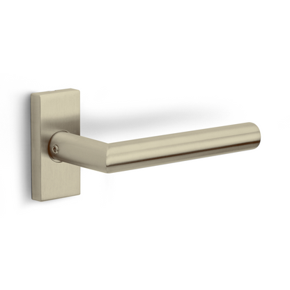 LB2-19Q32G - Door Handles On Rose